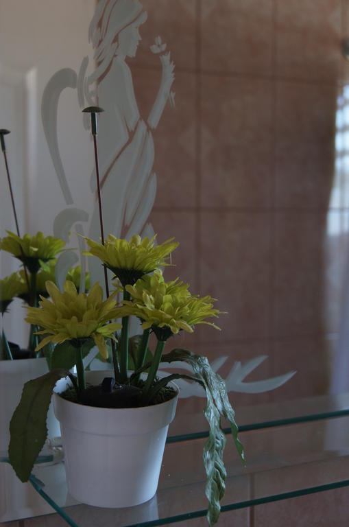 Tierra Noble Tu Mejor Opcion En Ahorro, B, Privado, A,Acondicionado, Central Santa Cruz Εξωτερικό φωτογραφία